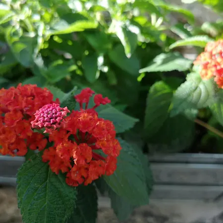 Prázdninový dům Casa Do Guardado