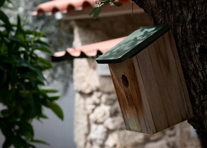 Casa Do Guardado בית נופש *