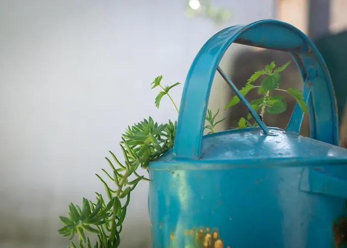 Casa Do Guardado בית נופש