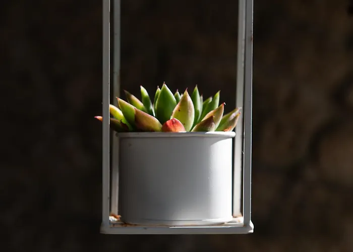 Casa Do Guardado בית נופש *